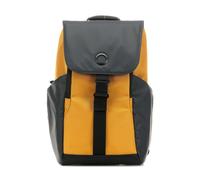 Delsey Securflap 16´´ 21l Backpack