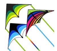 Delta Kite for Kids & Adults Easy to Fly, Best Kites for Beginner | 63in*30in Large Size, 300ft String Kite Handle Included, Large Single Line Beach Kite