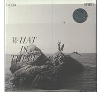 Delta Spirit - What Is There (CLEAR WITH BLACK MARBLING VINYL) [VINYL]