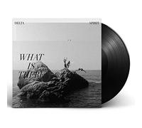 Delta Spirit - What Is There [VINYL]