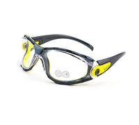 Delta Plus PACAYA Clear Safety Glasses with Removable Foam Protection