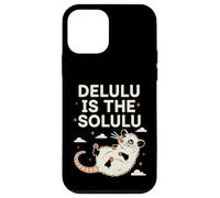Delulu Is The Solulu Possum Meme Chaotic Energy Humor Case for iPhone 12 mini