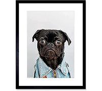 Deluvio Pug Puppy Dog in Jacket Wall Art Print