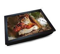 Deluxe Cushioned Photo Lap Tray | Red Squirrel | Wooden Frame | Bean Bag Cushion Base | #HF