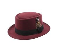Deluxe Oktoberfest Hat Brown German Bavarian Hat with Feather, One Size - Ideal for Fancy Dress Accessory, Oktoberfest