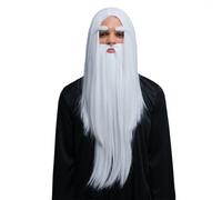 Deluxe Wizard Set Wig Beard Eyebrows Long White Hair Fancy Dress