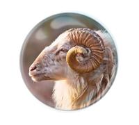 Deluxebase Magnidome Bighorn Sheep Fridge Magnet. Crystal Glass Dome Animal Magnet, Strong Decorative Magnet for Kitchen Accessories, Novelty Gifts and Cute Office and Home Decor.