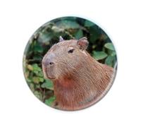 Deluxebase Magnidome Capybara Fridge Magnet - Crystal Glass Dome Animal Magnets for Fridges, Decorative Strong Magnet for Kitchen Accessories, Novelty Gifts and Cute Home Decor.