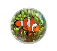 Deluxebase Magnidome Clown Fish Fridge Magnet - Crystal Glass Dome Animal Magnets for Fridges, Decorative Strong Magnet for Kitchen Accessories, Novelty Gifts and Cute Home Decor.