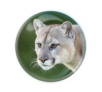 Deluxebase Magnidome Cougar Fridge Magnet - Crystal Glass Dome Animal Magnets for Fridges, Decorative Strong Magnet for Kitchen Accessories, Novelty Gifts and Cute Home Decor.