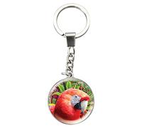 Deluxebase Magnidome Keychains - Parrot from Crystal Glass Key Ring Charm. Domed shaped Tropical Bird picture keyring with a stainless steel chain