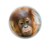Deluxebase Magnidome Orangutan Fridge Magnet - Crystal Glass Dome Animal Magnets for Fridges, Decorative Strong Magnet for Kitchen Accessories, Novelty Gifts and Cute Home Decor.