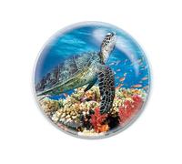 Deluxebase Magnidome Sea Turtle Fridge Magnet. Crystal Glass Dome Animal Magnet, Strong Decorative Magnet for Kitchen Accessories, Novelty Gifts and Cute Office and Home Decor.
