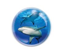Deluxebase Magnidome Shark Fridge Magnet - Crystal Glass Dome Animal Magnets for Fridges, Decorative Strong Magnet for Kitchen Accessories, Novelty Gifts and Cute Home Decor.