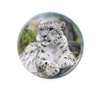 Deluxebase Magnidome Snow Leopard Fridge Magnet - Crystal Glass Dome Animal Magnets for Fridges, Decorative Strong Magnet for Kitchen Accessories, Novelty Gifts and Cute Home Decor.