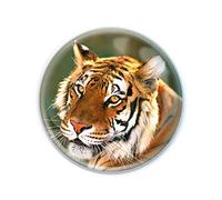 Deluxebase Magnidome Tiger Fridge Magnet - Crystal Glass Dome Animal Magnets for Fridges, Decorative Strong Magnet for Kitchen Accessories, Novelty Gifts and Cute Home Decor.