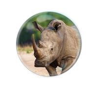 Deluxebase Magnidome White Rhino Fridge Magnet. Crystal Glass Dome Animal Magnet, Strong Decorative Magnet for Kitchen Accessories, Novelty Gifts and Cute Office and Home Decor.