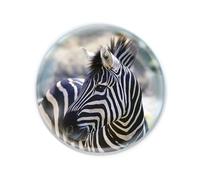 Deluxebase Magnidome Zebra Fridge Magnet - Crystal Glass Dome Animal Magnets for Fridges, Decorative Strong Magnet for Kitchen Accessories, Novelty Gifts and Cute Home Decor.