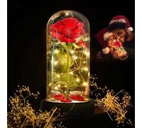 Deluxsa ucho Enchanted Red Silk Rose,Beauty and the Beast Rose with Fallen Petals in A Light Dome,Home/Office or Home Decorations, Anniversary, Valentine's Day