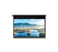 DELUXX Advanced Motorleinwand Elegance 305 x 228 cm Mattweiss Polaro
