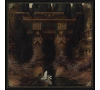 Delve Into The Mysteries Of Transcendenc