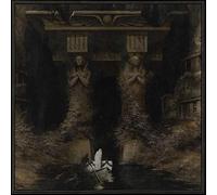Delve Into The Mysteries Of Transcendence