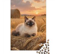 Delve Into The Wonders of Exotic Shorthair - A 1000 Piece Wooden Jigsaw Challenge That Captivates Minds And Hearts - Ideal for Families