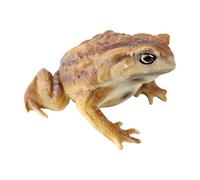 demaxiyad Toy Frogs Mini Cute Educational