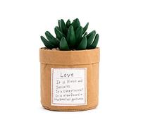 Demdaco Plant Kindness - Love
