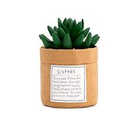 Demdaco Plant Kindness - Sisters