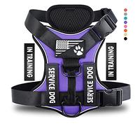 Demigreat Dog Harness, Reflective Service Dog Vest with 5 Patches, Adjustable Soft Oxford Nylon, Inner Layer Mesh, No Pull, No Choke, Purple, XS-L XL Sizes
