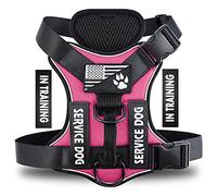 Demigreat Dog Service Harness, Reflective, No-Pull, Adjustable, Soft Oxford, Inner Mesh, Easy Control, Rose Red, Pink, Large, Classic Style