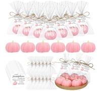 Demissle 20 Fall Pumpkin Baby Shower Favors Thanksgiving Bridal Shower Soap Favors Mini Pumpkin Soap Thanks Card Gift Bag with String for Guest Wedding Autumn Party Decor Gifts (Pink)