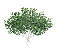 DEMIUKO 12PCS Artificial Italian Ruscus Stems 25in Fake Plants Greenery Branches Silk Foliage Twig Willow Leaves Hanging Spray Garland Decor for Home Table Centerpiece Wedding Arch Bouquet Filler