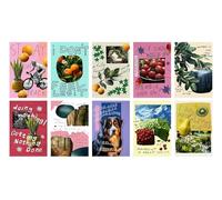 DEMLIN 10 sheet original life cards, simple modern fruit, animal and plant postcards, indoor wall decoration wall stickers-default