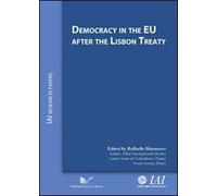 Democracy in the EU after the Lisbon Treaty