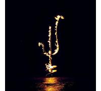 DEMON HEAD - HELLFIRE OCEAN VOID [CD]