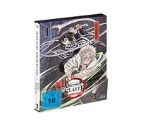 Demon Slayer: Kimetsu no Yaiba Hashira Training Arc - Vol.1 - [Blu-ray]