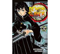 Demon Slayer. Kimetsu No Yaiba. Vol. 12