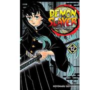 Demon Slayer: Kimetsu no Yaiba, Vol. 12: (Demon Slayer: Kimetsu no Yaiba 12)