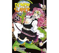 Demon Slayer. Kimetsu No Yaiba. Vol. 14