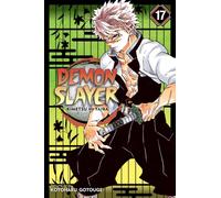 Demon Slayer: Kimetsu no Yaiba, Vol. 17 : Volume 17