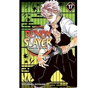 Demon Slayer: Kimetsu no Yaiba, Vol. 17: Volume 17