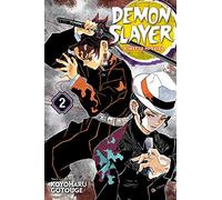 Demon Slayer: Kimetsu no Yaiba, Vol. 2: It Was You: Volume 2