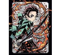 Demon Slayer Kimetsu no Yaiba Volume 2 Limited Edition Blu-ray
