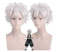 Demon Slayer Shinazugawa Sanemi Wig Anime Wig Cosplay Comic- Con Halloween Party Carnival Adult Men and Women Anime Fans Gift(Silver Grey Afro Wig) Cosplay Anime Wig Coser