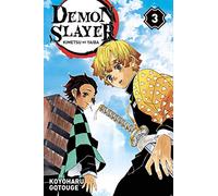 Demon Slayer T03, French language