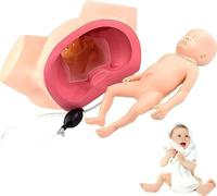 Demonstration Female Childbirth Simulator, Advanced Midwifery Training Model, Childbirth Demonstration Model with Fetal,Education and Study Model