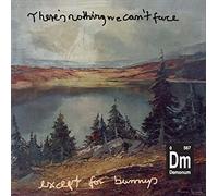 Demonum - There'S Nothing We Can'T Face-Except for Bunnies [VINYL]