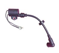 DEMULAX Boat Motor Ignition Coil Assy, for HIDEA, 2- Stroke 30HP 25HP 30F 25F Outboard Engine Short Stype 30F-01.02.07.00 Marine Ignition Switch